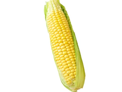 Sweet Corn