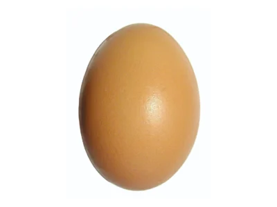 Egg